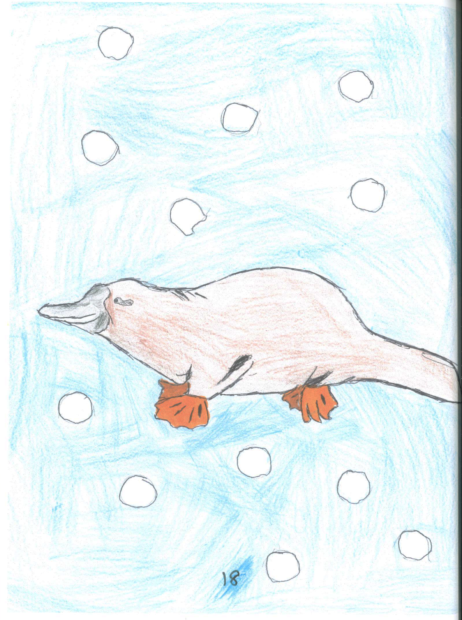 BOOK-pages_Platypus-image