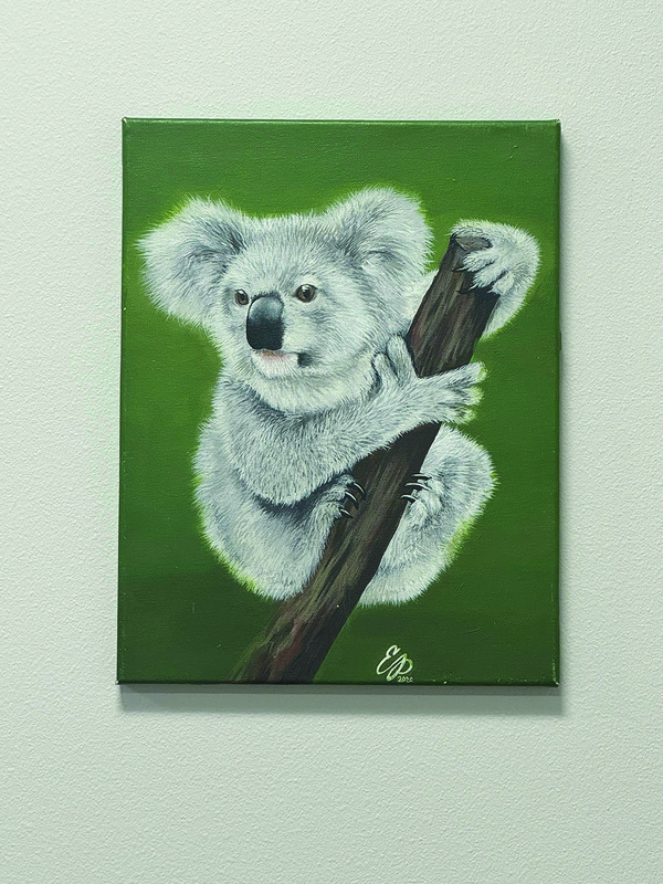 Koala_IMG_1582-1
