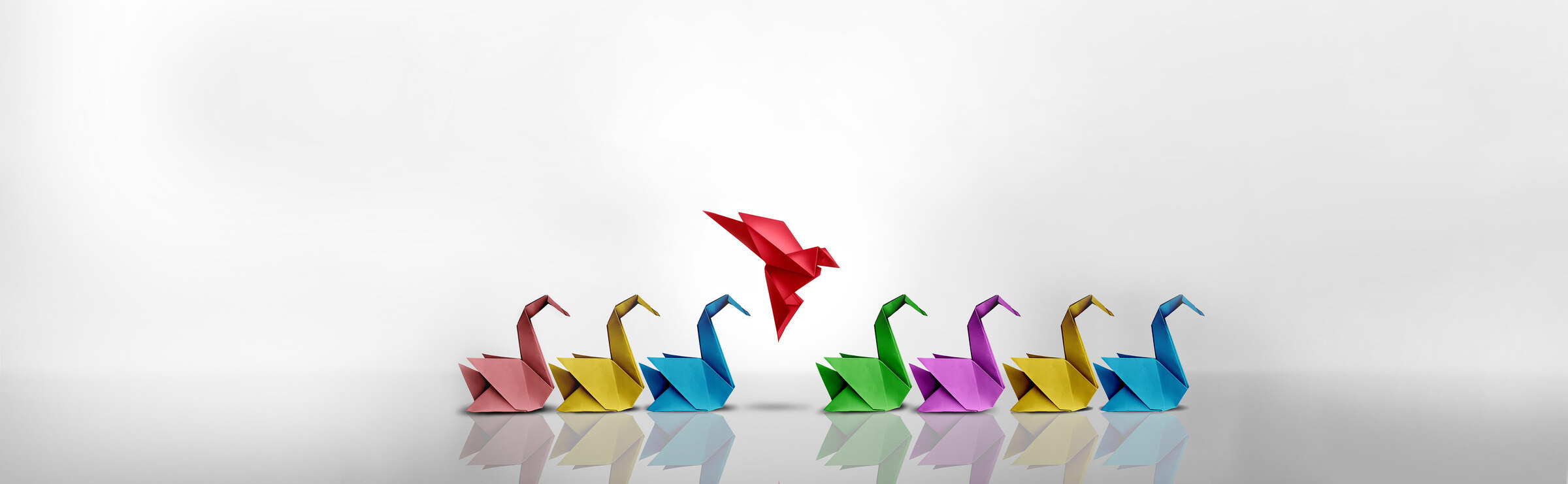 Swans-1414912264-1-1