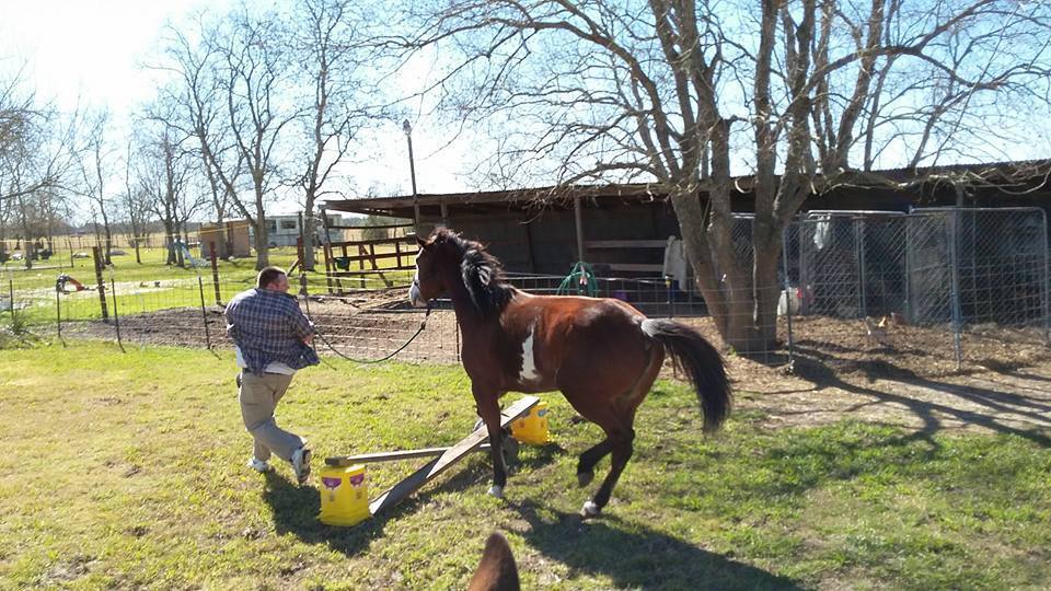 12670039 10153622716372670 800444669696464830 n