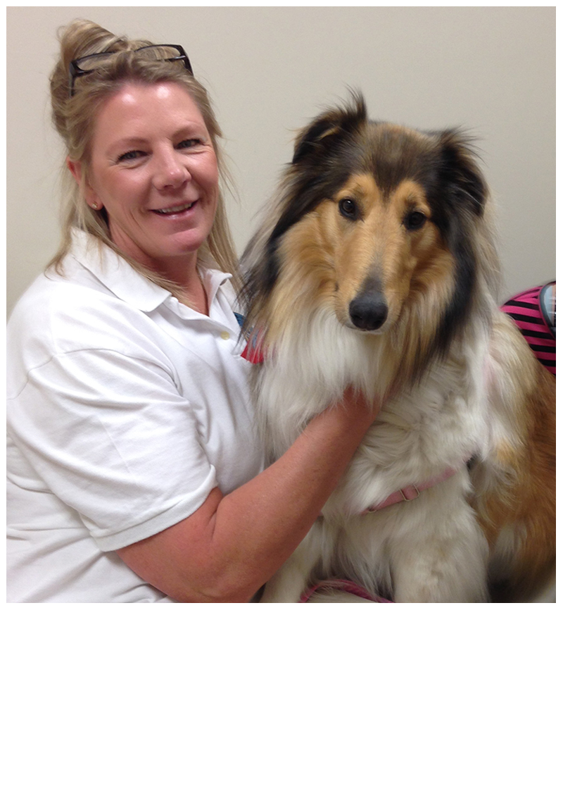 Therapy Dog Volunteer