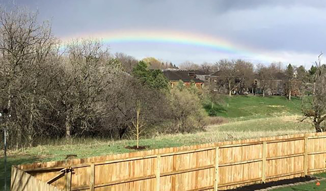 rainbow-over-CHS.jpg#asset:4261