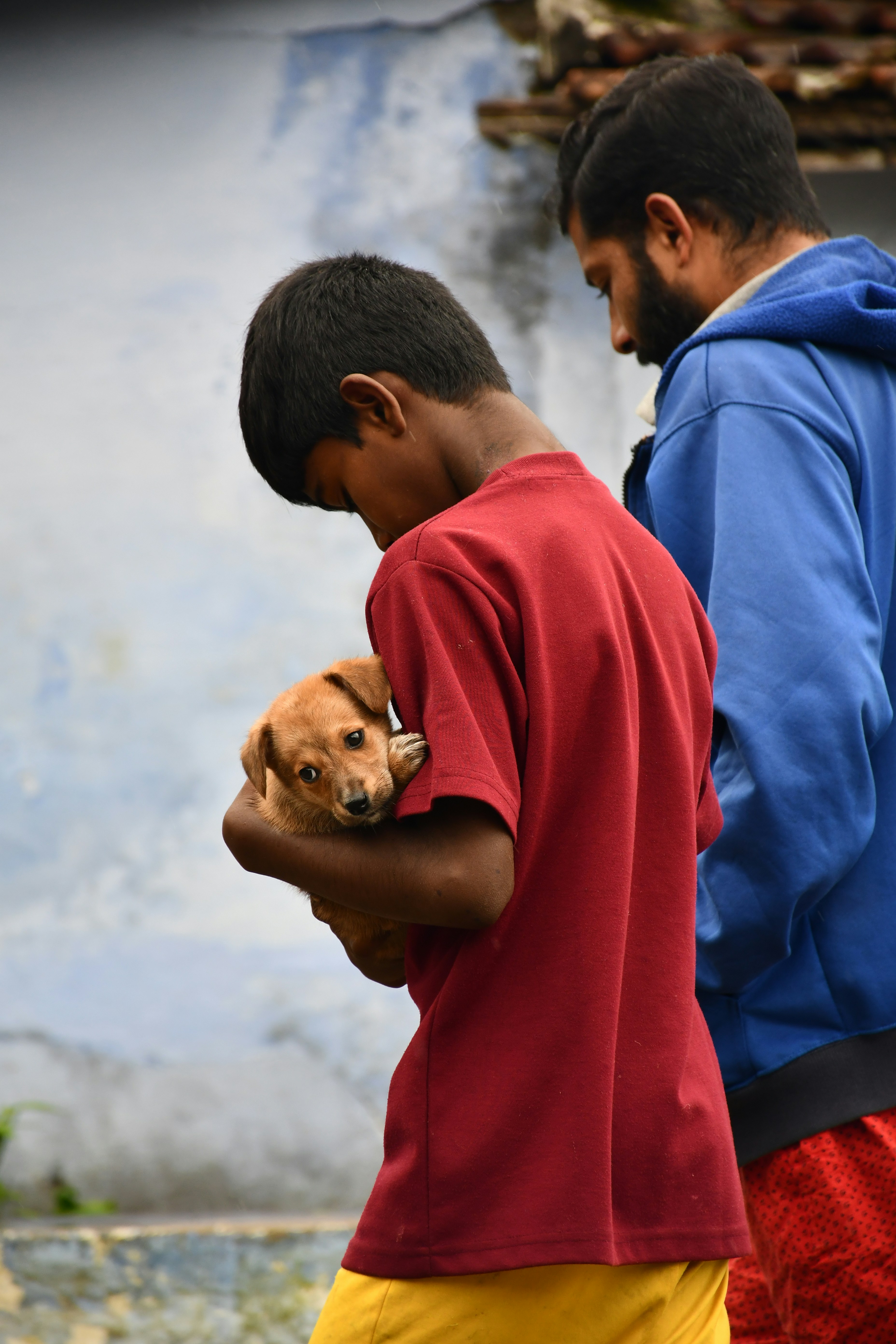 Photo by Karthik B K on Unsplash